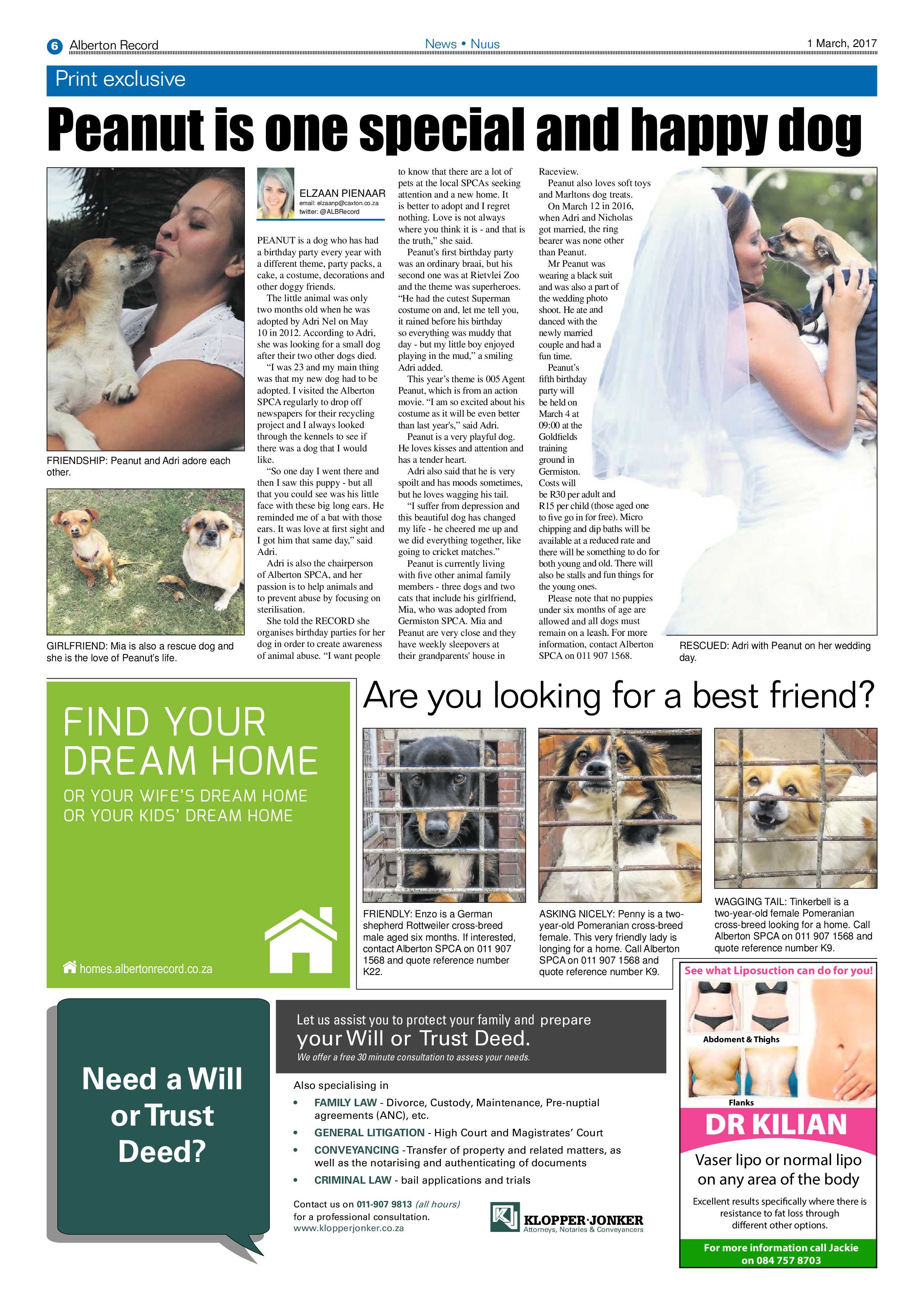 Alberton Record 01 March 2017 page 6
