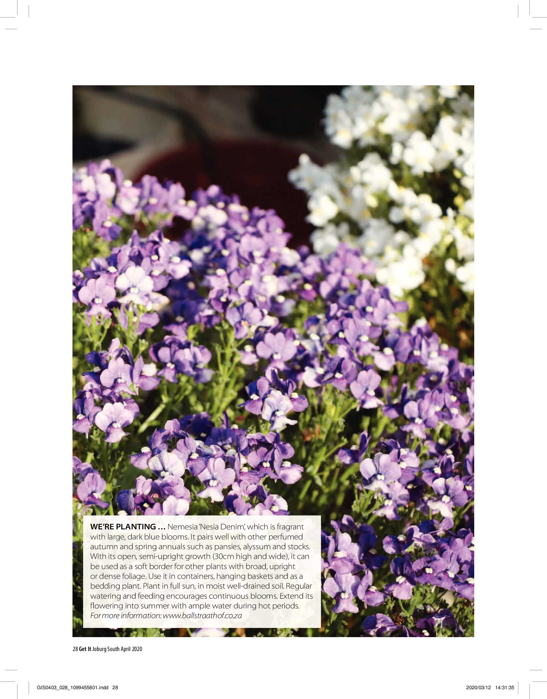 Get It Joburg South April 2020 page 28